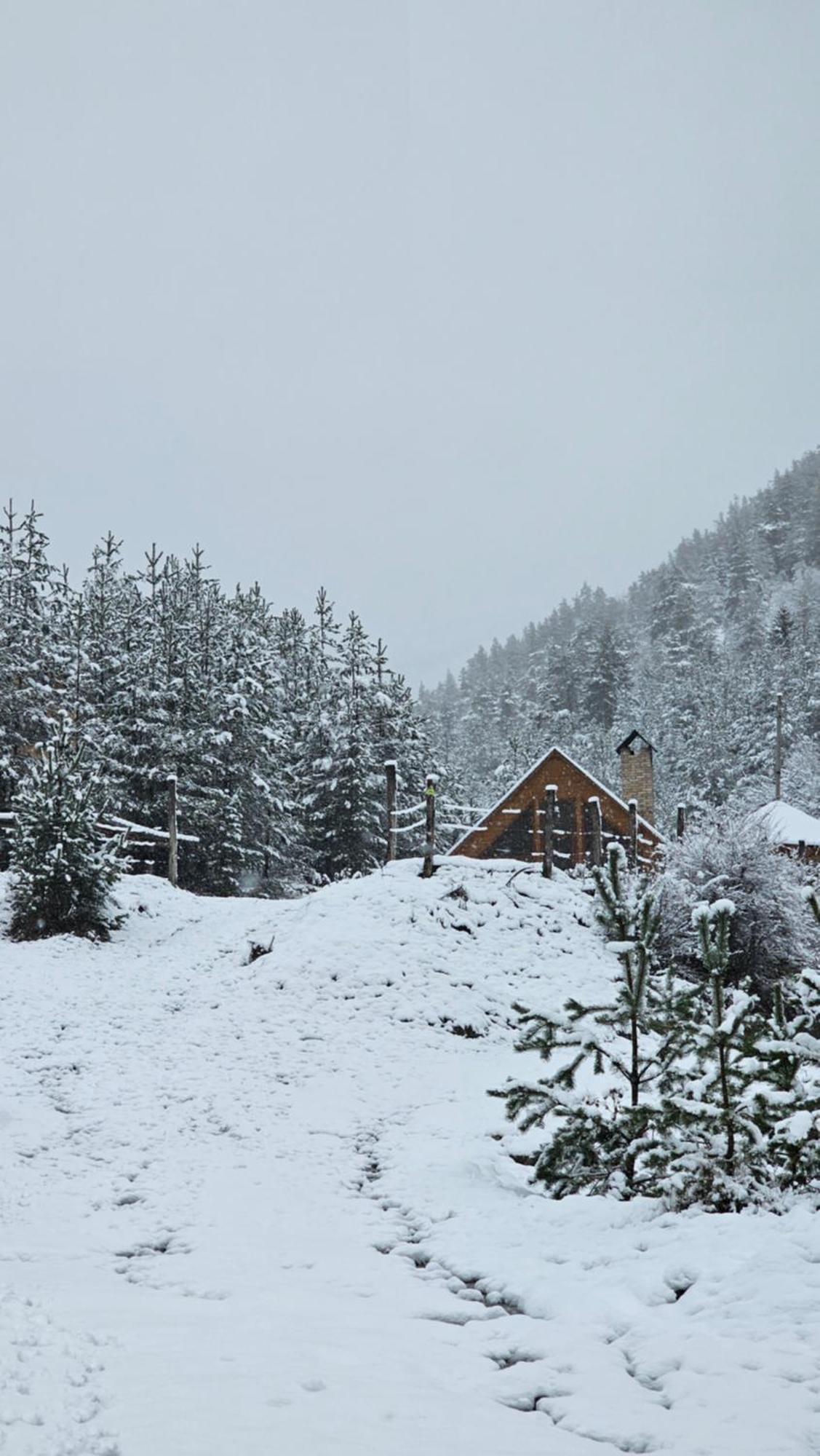 Cozy Cottage Feel Free Continental Didi Ateni Exterior foto